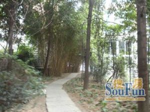 龙府花园3室2厅东南