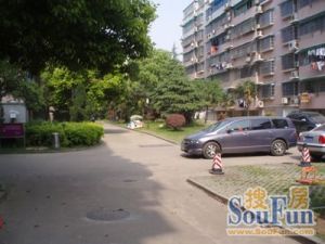 东南明苑3室2厅南北