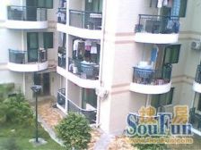 10年人车分离社区,施程,电梯高层,朝向无遮挡