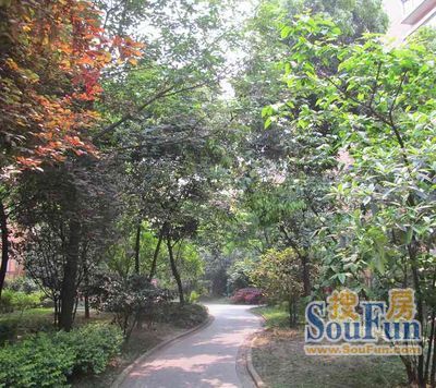 逸阳华庭实景图