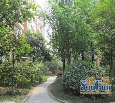 逸阳华庭实景图