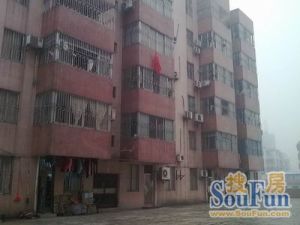 出入方便,满5年不唯一采光好另有不入证的储物室