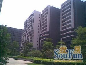 季华公园电梯房大三房采光好格局方正随时看房