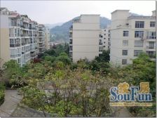 明星嘉苑 1室1厅 东南 西北