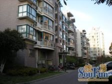 视野开阔 无遮挡 远香湖公园 宝龙广场 小区中花园