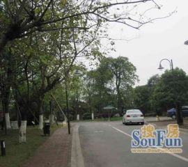 牧马山易城 4室2厅 南