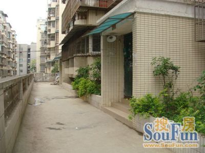 玉厂路小区实景图