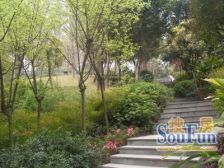 云栖谷精装三室出售,采光好,户型方正,业主诚心出售