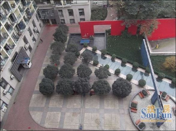 流星花园实景图