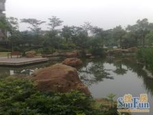 翠庭轩东向大三房,户型好,楼层靓,格局方正