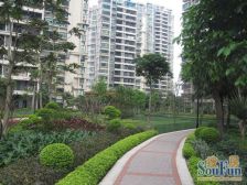 复式东南朝向 南北对流 花园中间位置 采光通风比较好