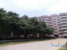 宏基花园、南桂路地铁口、实用三房、南向无遮挡