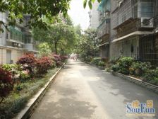 五一东村2室2厅南
