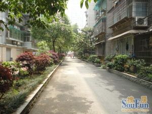 五一东村2室1厅南