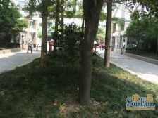 和美居4室2厅北
