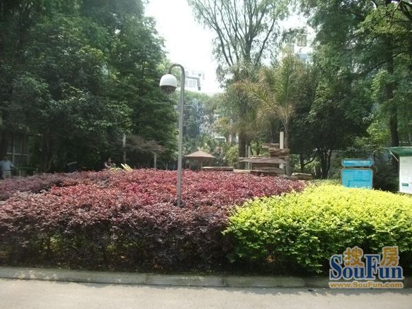 小区相关图