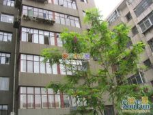 西客站北广场 兰石小户型 看房方便