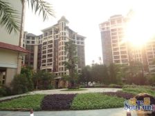 海悦新城 望桂畔海湿地公园景观 重金装修 保养好