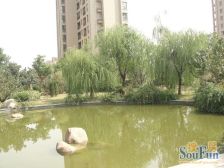 保利叶语一期4室南朝向1750.00万元/套出售