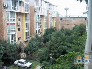 天府香城 4室2厅 东南