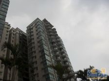 一楼带大花园,4.5米层高,装修好