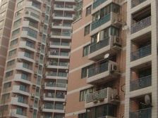 精装修,采光充足,小户型,小区中心位置