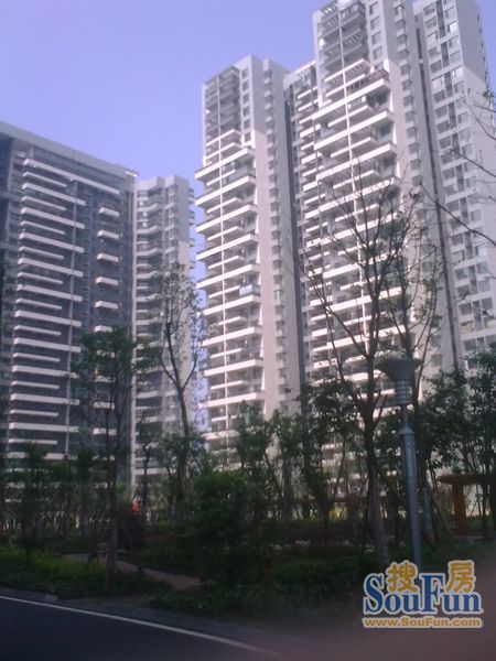 小区相关图