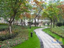 恒大城 4室2厅 东南 西北