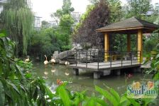 锦绣华都南区 3室2厅 东南