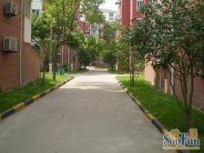 北蔡·绿川新苑·2室·2厅低楼层,上下楼方便;南北通透