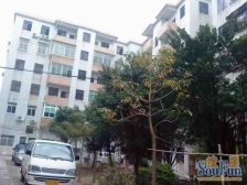 湖心路 简装三房 邻近市场 配套齐