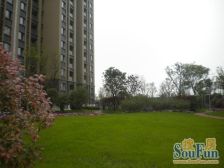 近地铁远轨道 满五年 纯边套户型 三面窗户 通风采光好