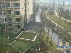 熙岸3室2厅南