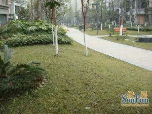 熙岸3室2厅东南