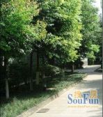 【龙泉建行宿舍】| 成都市龙泉驿区龙泉建设路61号1栋1单元5层5号房屋