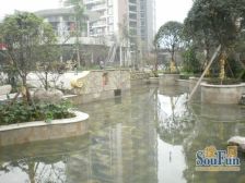 西岸观邸4室2厅南西南