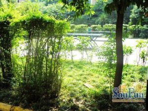 天府香城3室1厅南