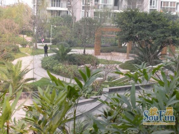 【成都卓锦城三期小区,二手房,租房】- 成都房天下