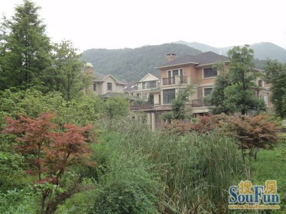 九龙山庄实景图