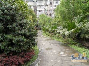 南丽湾1室1厅南