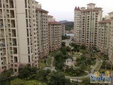 南向无遮挡采光好装修新净中低层风景好田园风光
