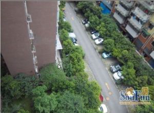 金荷名邸3室1厅南