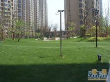 顾村·保利叶语(西区)·2室·1厅