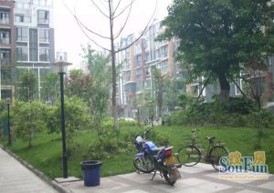 绿杨涧2室2厅东