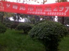 谢家湾 重庆出版社小区三房55万