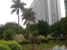 第三金碧花园2室北朝向268.00万元/套出售