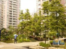 此房是4室1厅1厨1卫,拎包入住。