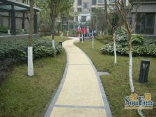 熙岸3室2厅东南
