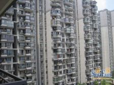 东立国际广场 2室1厅 南