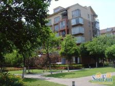 复试带露台,全明户型,价格可以谈,看房方便